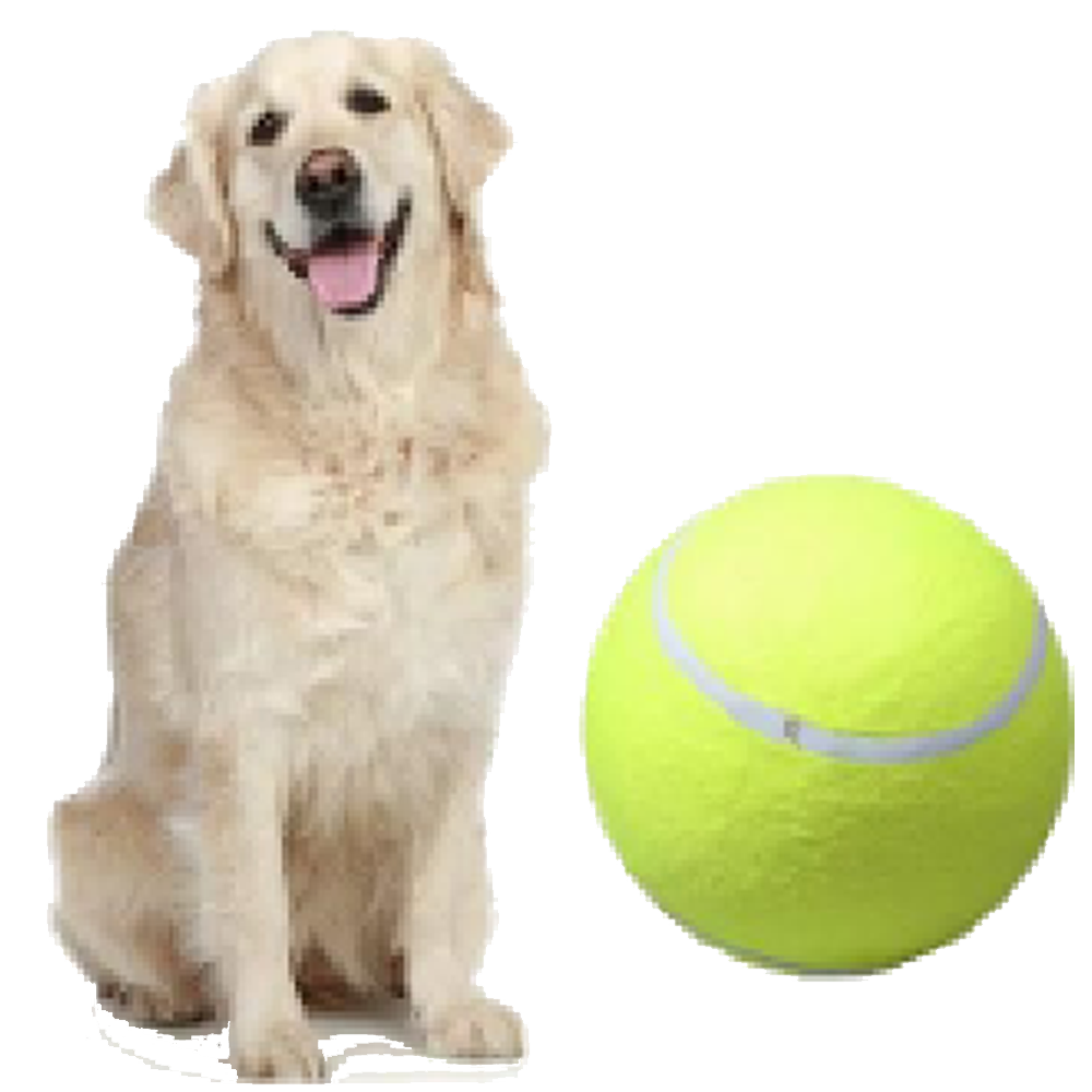 EVELX Pet Tennis Ball