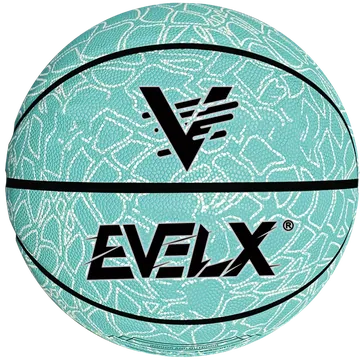 EV-BAS-019