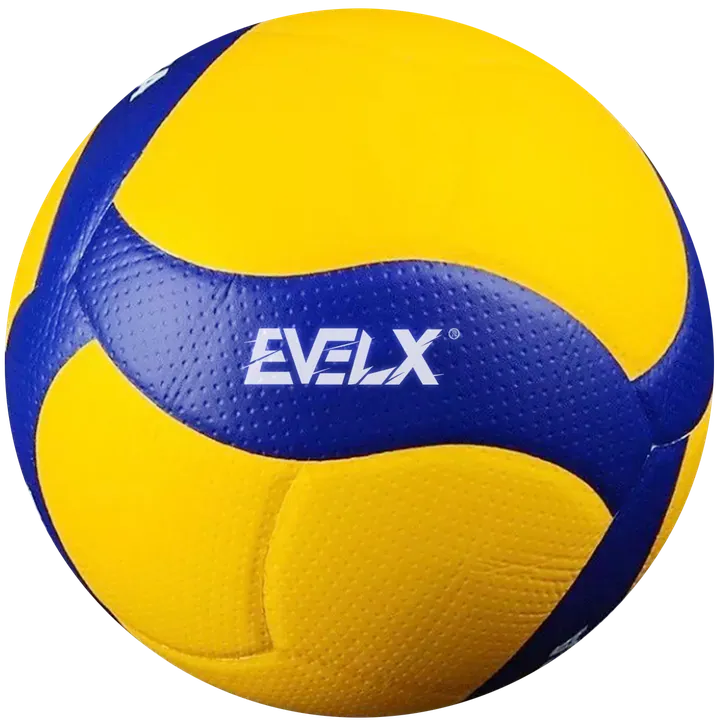 EVELX Volleyballs