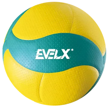 EV-VOL-010