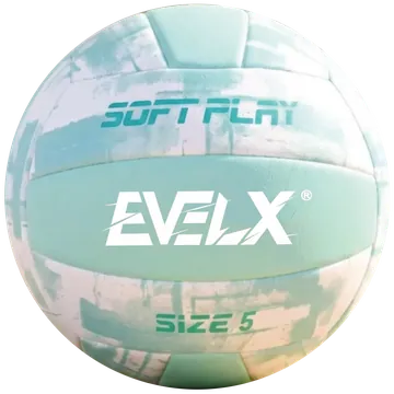 EV-VOL-019
