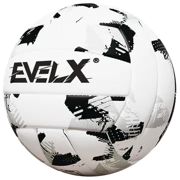 EV-VOL-022